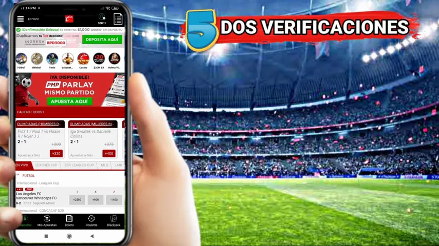 Marco legal de los bonos y requisitos de apuesta de la DGOJ en España